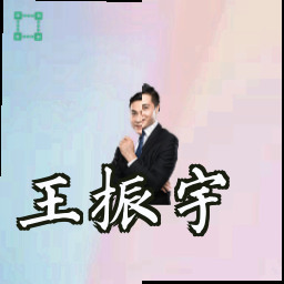 王振宇